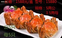 苏州食品饮料产业链全解析 从源头到餐桌的完整生态